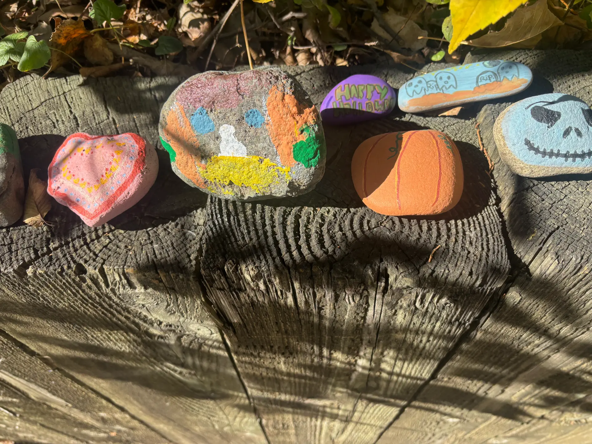JRT’s colorful Halloween rock characters painted by hand, displayed on a sunlit log
