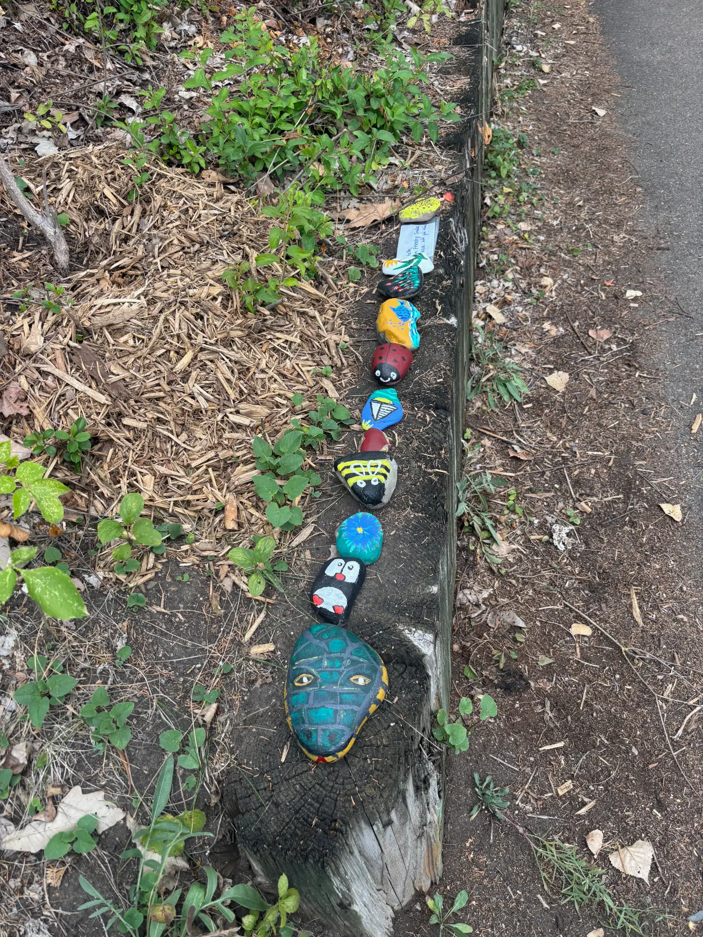 Freddy Snake’s green painted head and the community rock snake stretching along the wooden retaining wall
